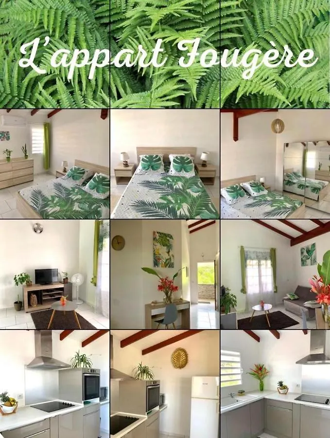 L'Appart Fougere Apartment Capesterre-Belle-Eau